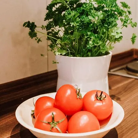 Gemuetliche Mit Balkon Leipzig